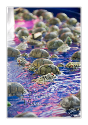 16-10-24 Fête forraine _MG_0101 web