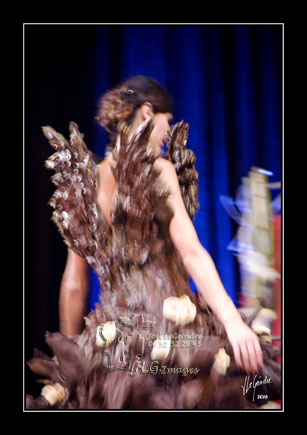 16-11-11 salon choco vannes Maron_MG_0775 Web