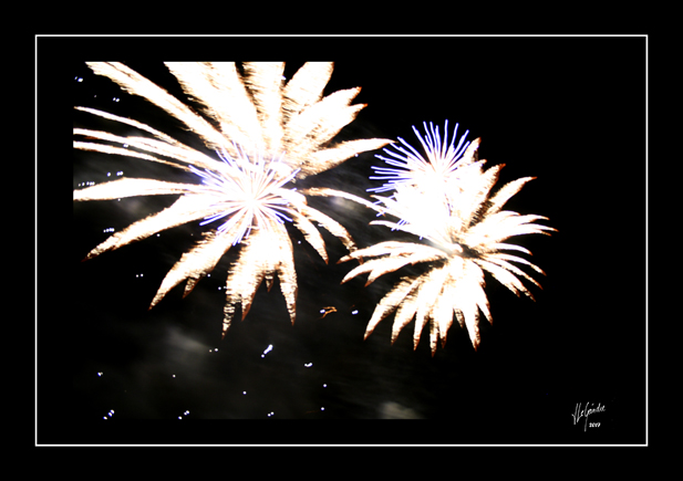 17-07-13 fete historique Vannes_MG_6961 CADREweb