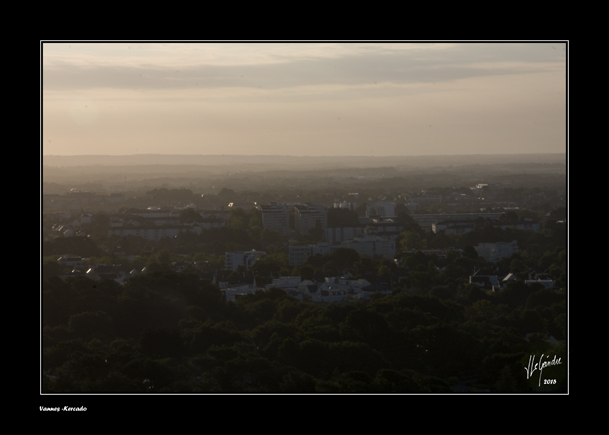 2015-08-07 VolBallon_MG_6266 cadreweb