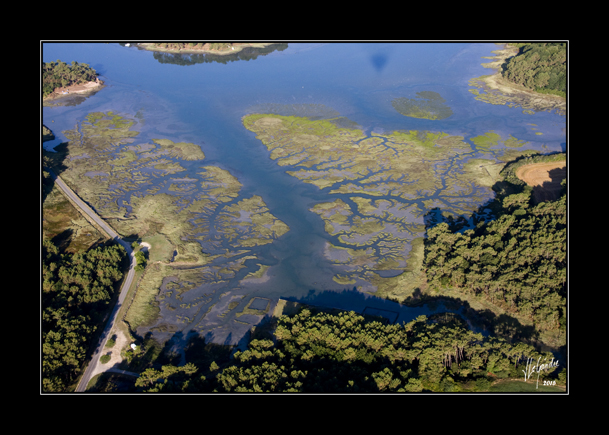 2015-08-07 VolBallon_MG_6357 cadreweb