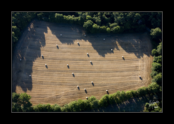 2015-08-07 VolBallon_MG_6358 cadreweb