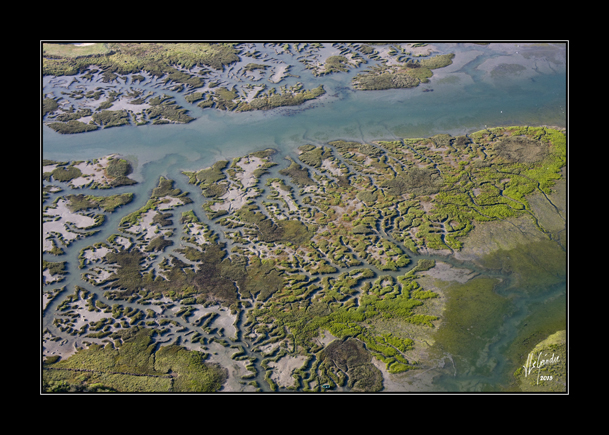 2015-08-07 VolBallon_MG_6362 cadreweb