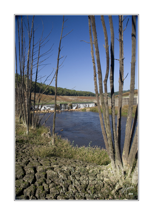 2015-09-28_MG_6137 cadre copie