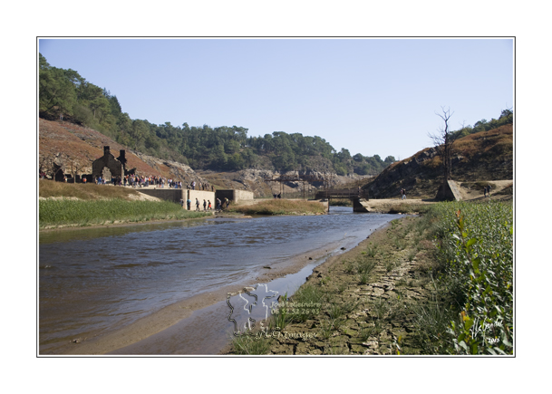 2015-09-28_MG_6147 cadre copie