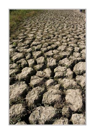 2015-09-28_MG_6176 cadre copie