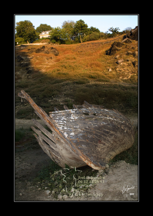 2015-09-28_MG_6221 cadre copie