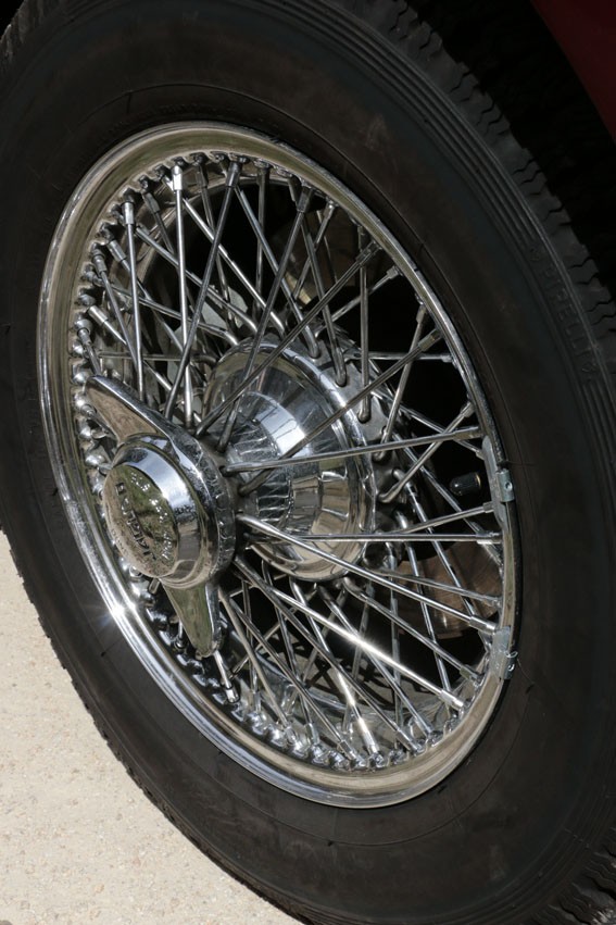 Mg 9807web