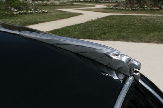 Mg 9818web