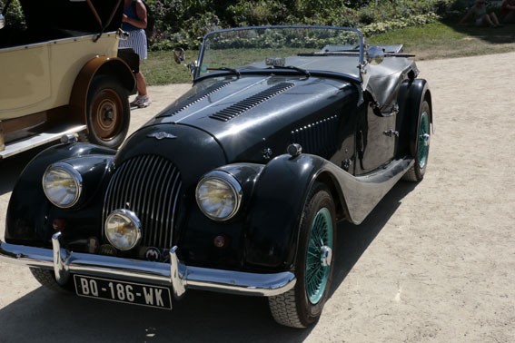 Mg 9851web